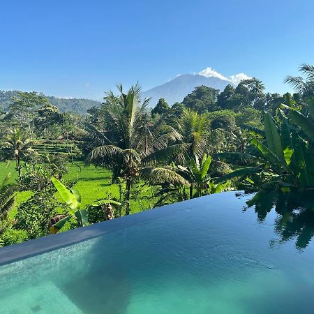 Nana Suites Villa Sidemen  Ngoại thất bức ảnh