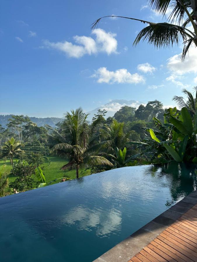 Nana Suites Villa Sidemen  Ngoại thất bức ảnh