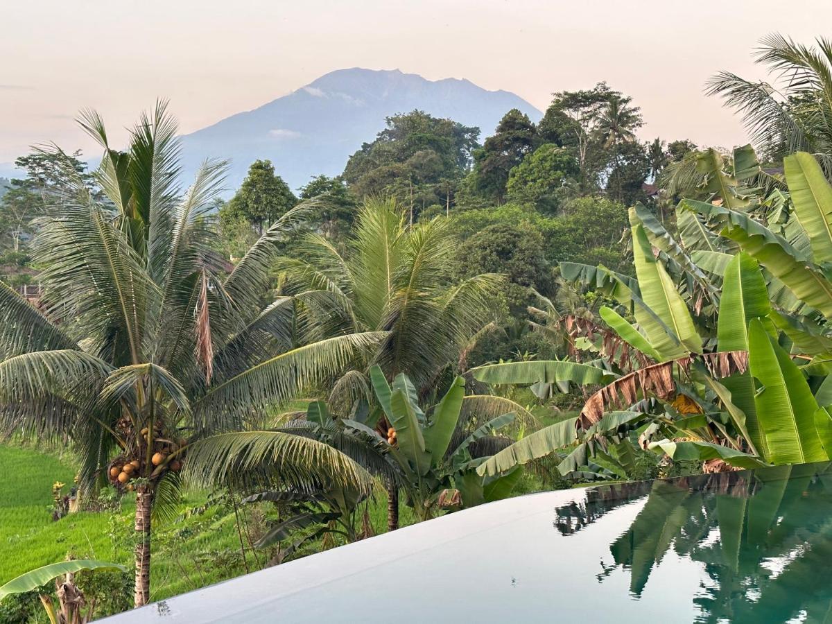 Nana Suites Villa Sidemen  Ngoại thất bức ảnh